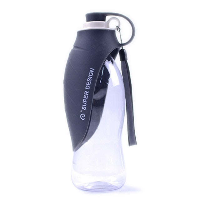 Award Winning Portable Water Bottle