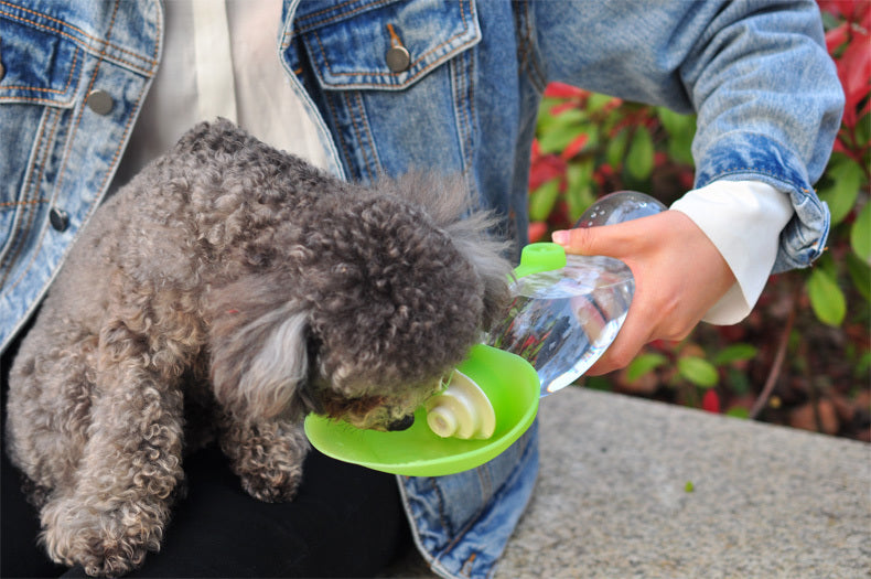 Award Winning Portable Water Bottle